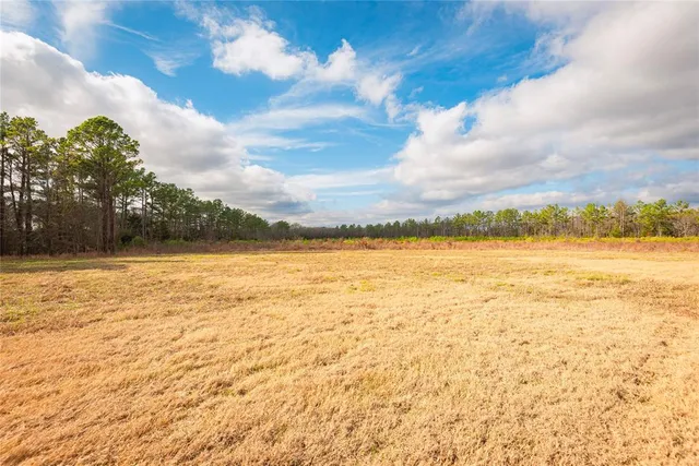 a house with trees in front of it