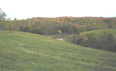 1100 East Union Road Carlisle, KY 40311 - Photo 6 of 13 Photo 6