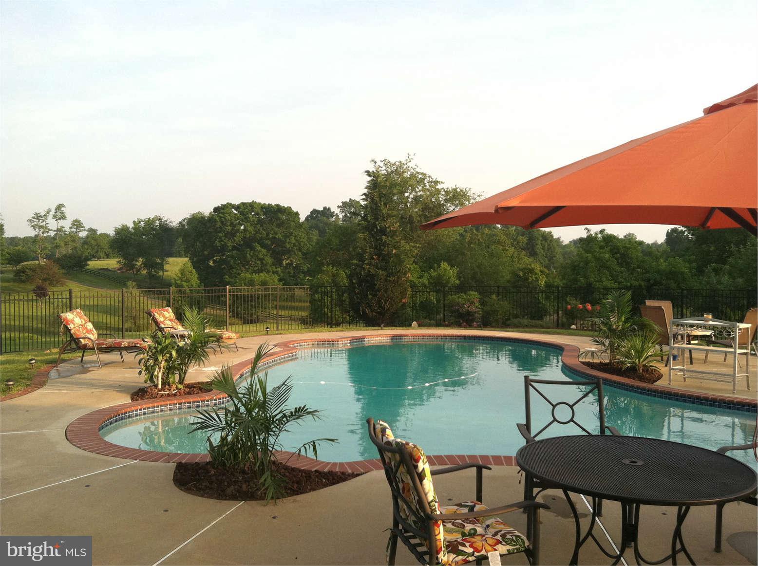 4003 Zulla Road The Plains, VA 20198 - Photo 21 of 30 Pool