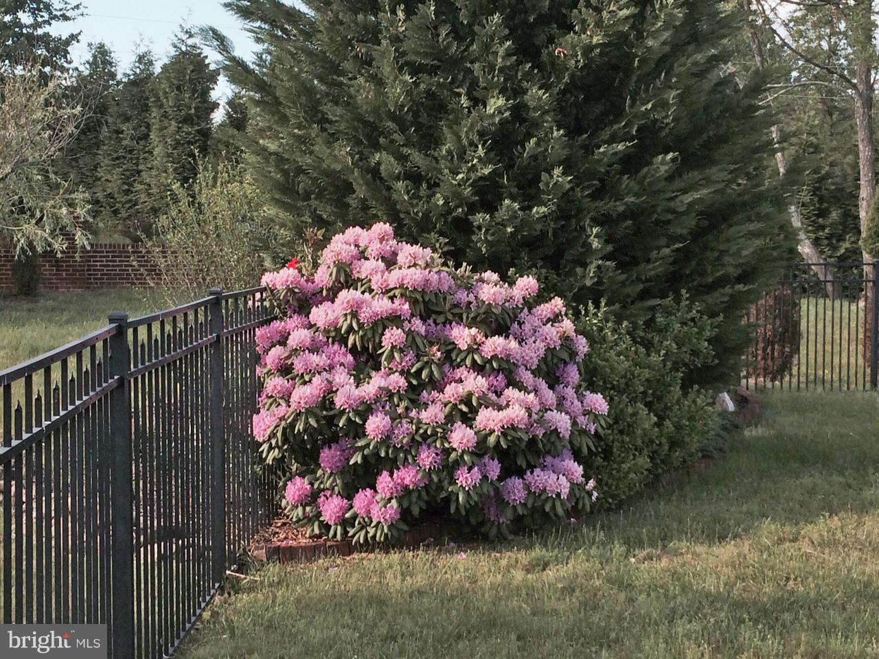 4003 Zulla Road The Plains, VA 20198 - Photo 28 of 30 Landscape