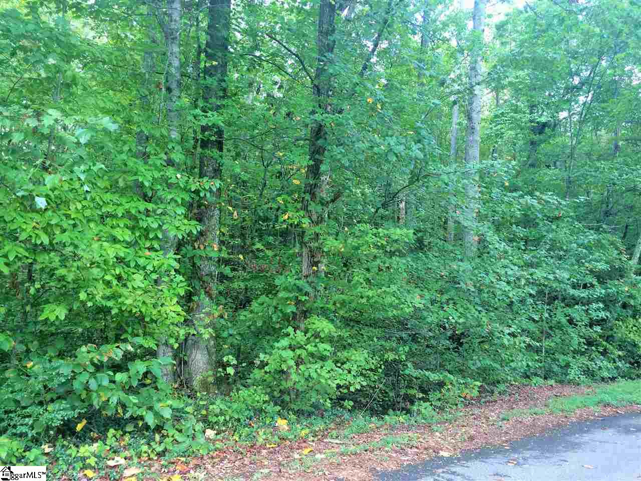 157 Campbell Mill Road Travelers Rest, SC 29690 - Photo 3 of 3 Gallery Image 3