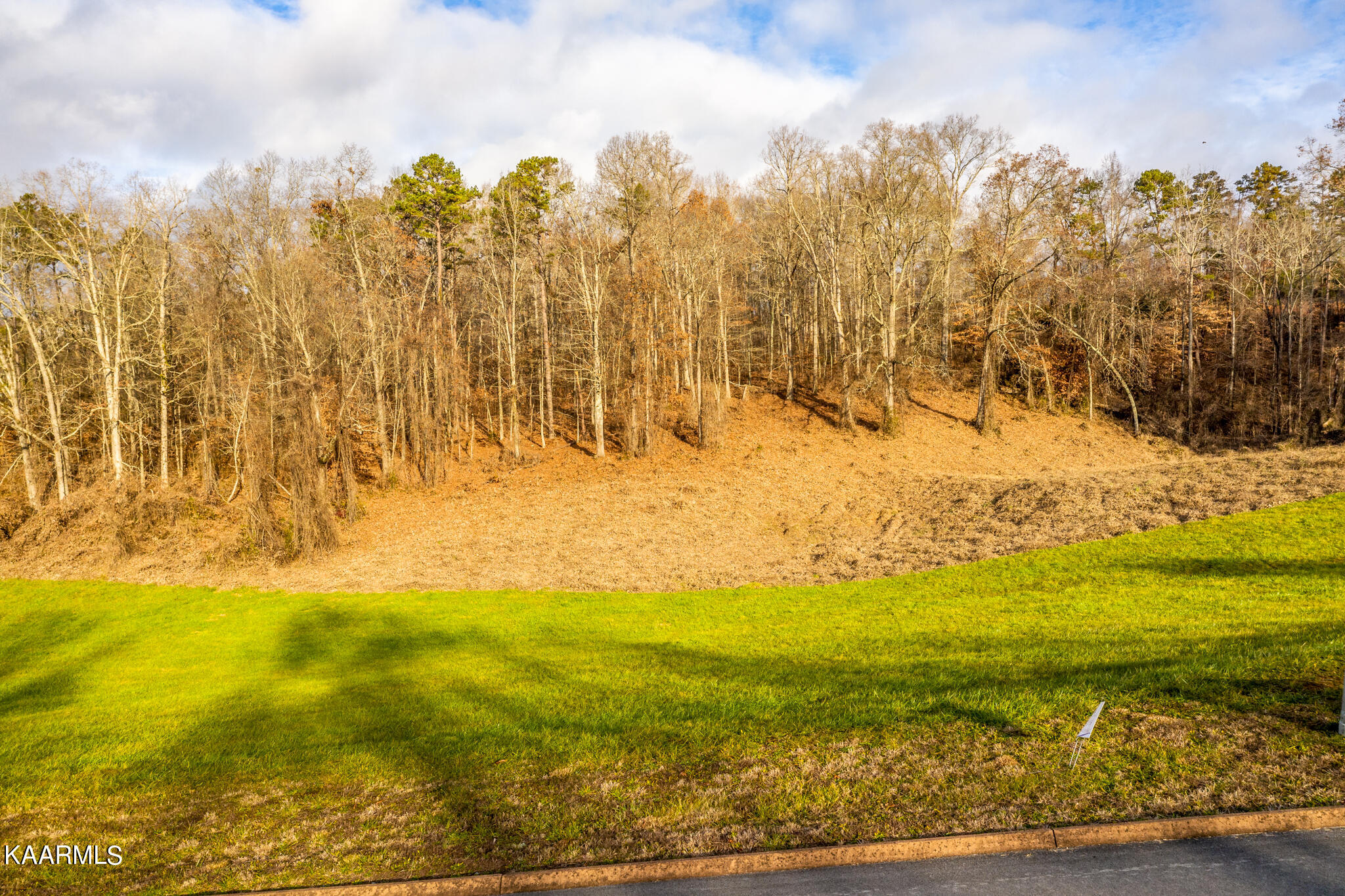 Lot 56 Cow Poke Lane Rutledge, TN 37861 - Photo 1 of 20 1