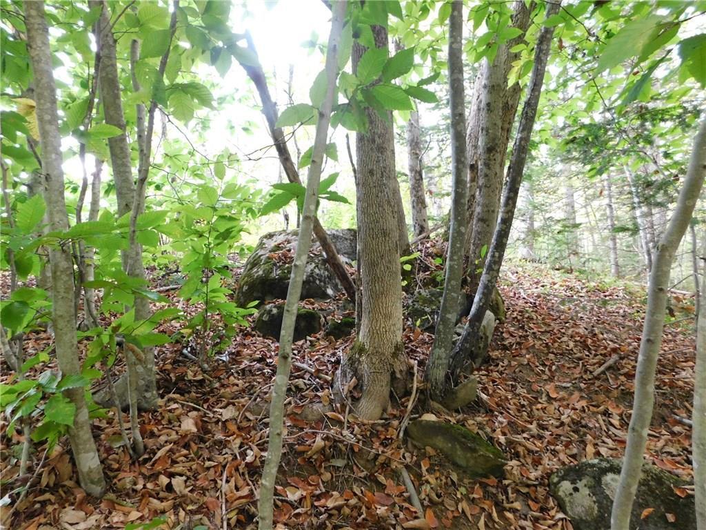 349 East River Road Pembroke, ME 04666 - Photo 10 of 35 Photo