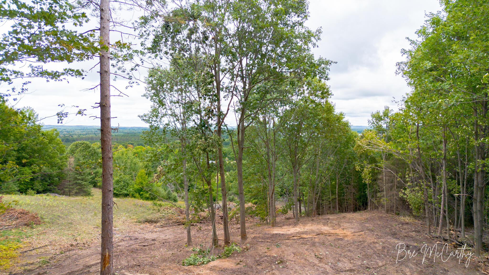 V/l Spruce Ridge Road, Unit 13 Bear Lake, MI 49614 - Photo 11 of 31 Scenic View From Build Site