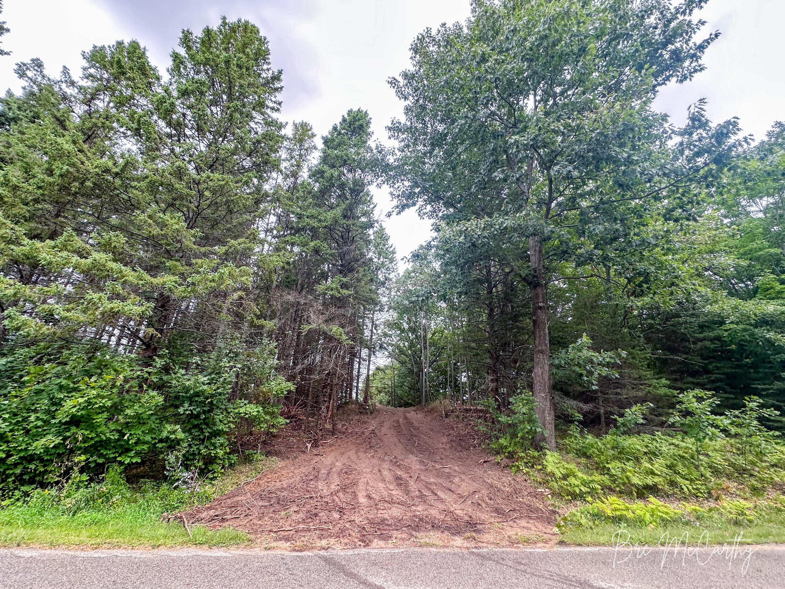 V/l Spruce Ridge Road, Unit 13 Bear Lake, MI 49614 - Photo 19 of 31 Driveway