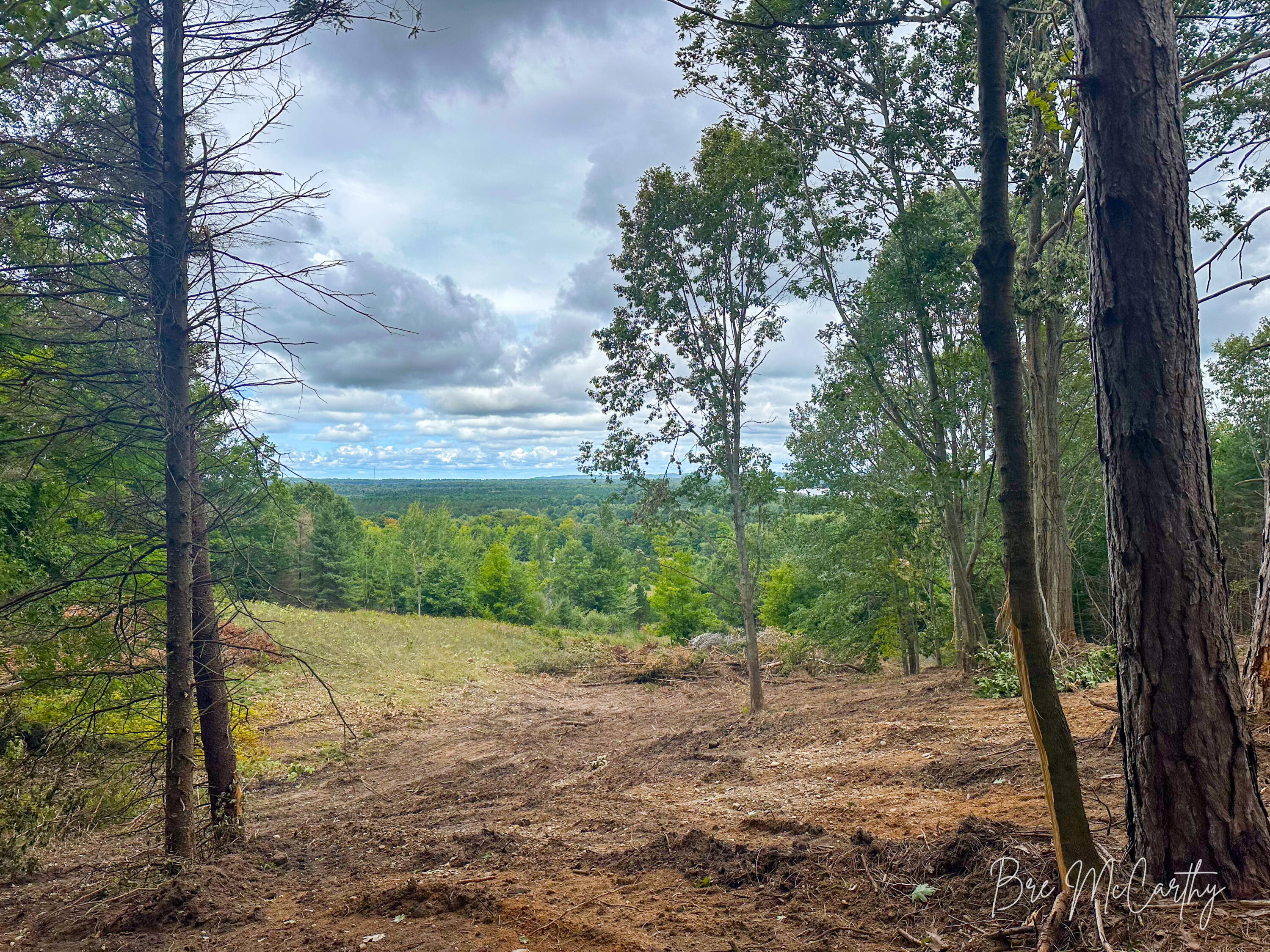 V/l Spruce Ridge Road, Unit 13 Bear Lake, MI 49614 - Photo 23 of 31 Scenic Views From Build Site