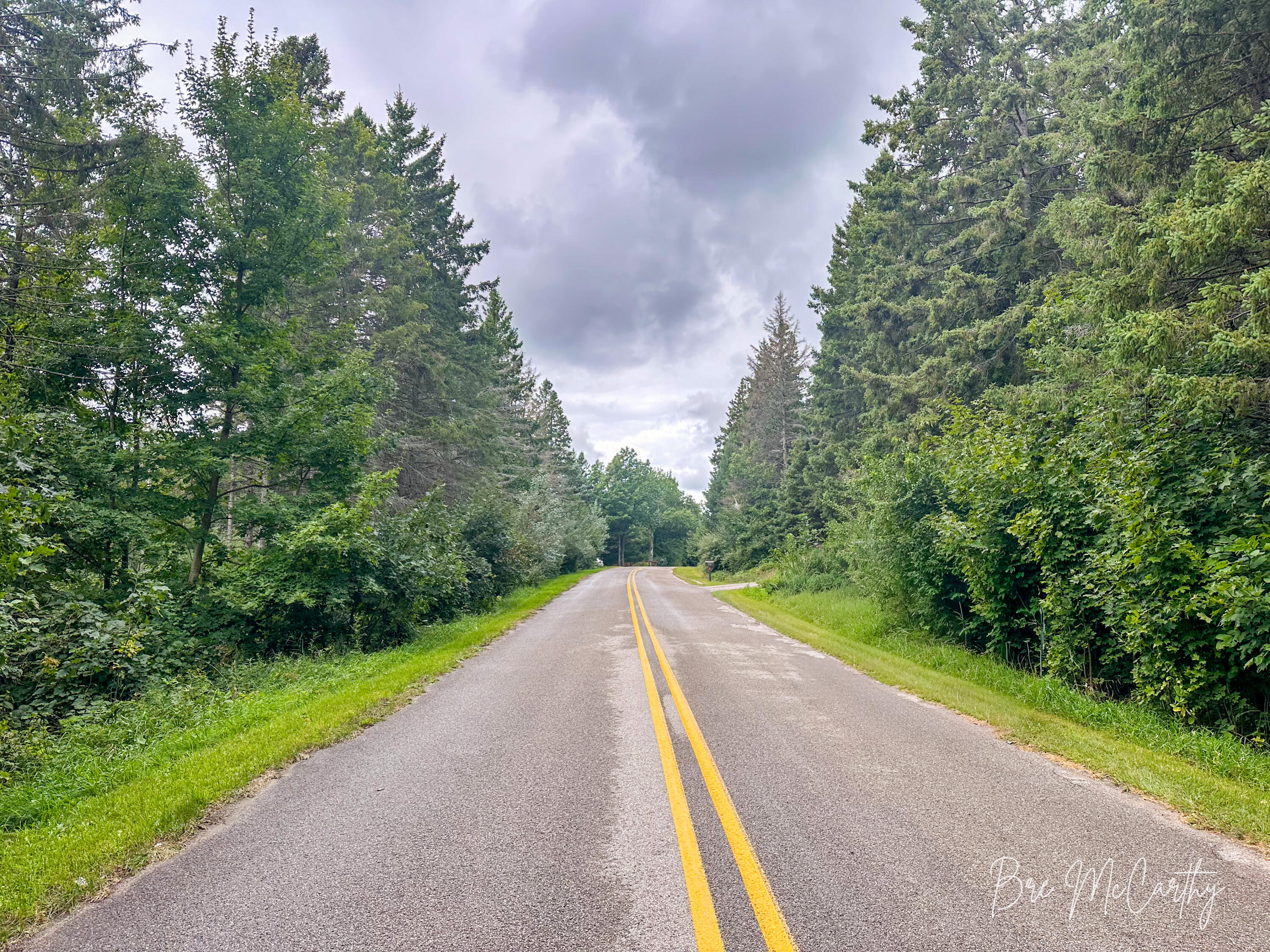 V/l Spruce Ridge Road, Unit 13 Bear Lake, MI 49614 - Photo 25 of 31 Standing by Driveway Looking West