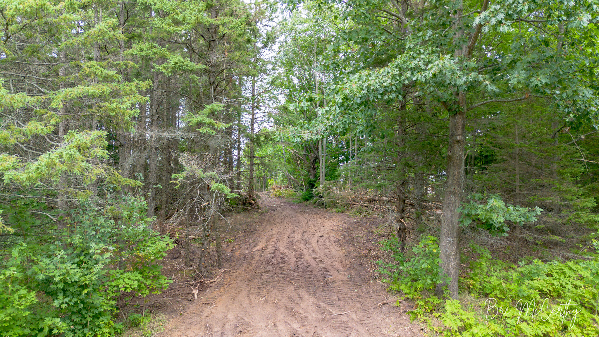 V/l Spruce Ridge Road, Unit 13 Bear Lake, MI 49614 - Photo 5 of 31 Driveway