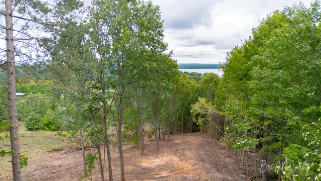 $99,900 | V/l Spruce Ridge Road, Unit 13, Bear Lake, MI 49614