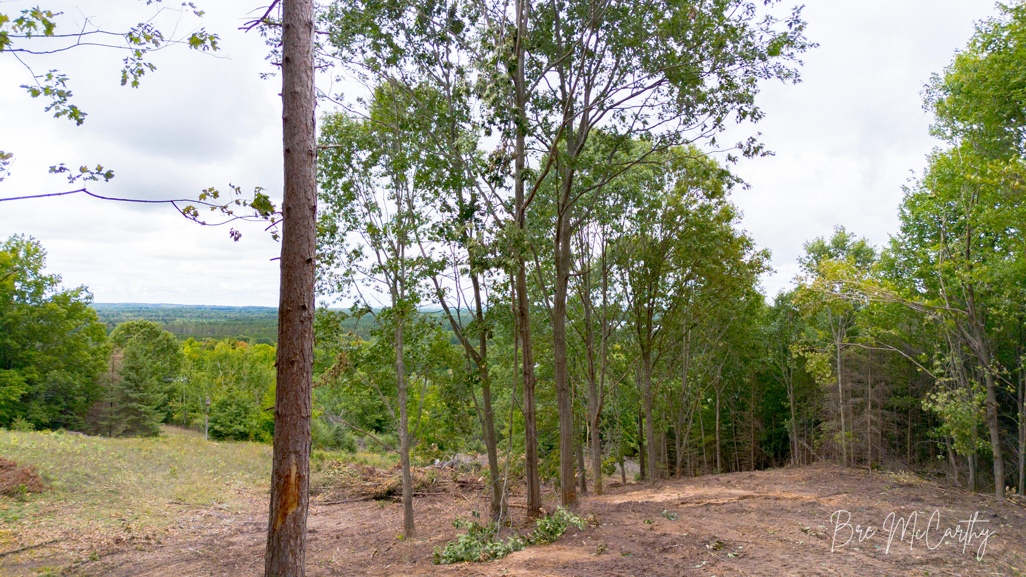 V/l Spruce Ridge Road, Unit 13 Bear Lake, MI 49614 - Photo 10 of 31 Scenic View From Build Site