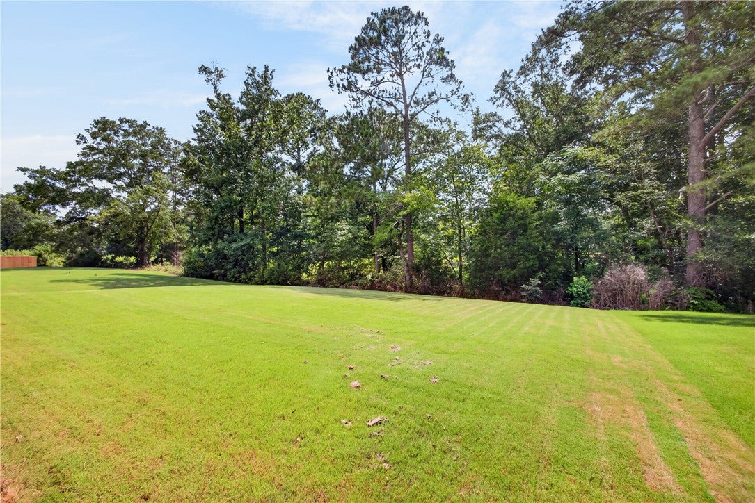 974 Great Bear Road Opelika, AL 36804 - Photo 6 of 46 Gallery Image 6
