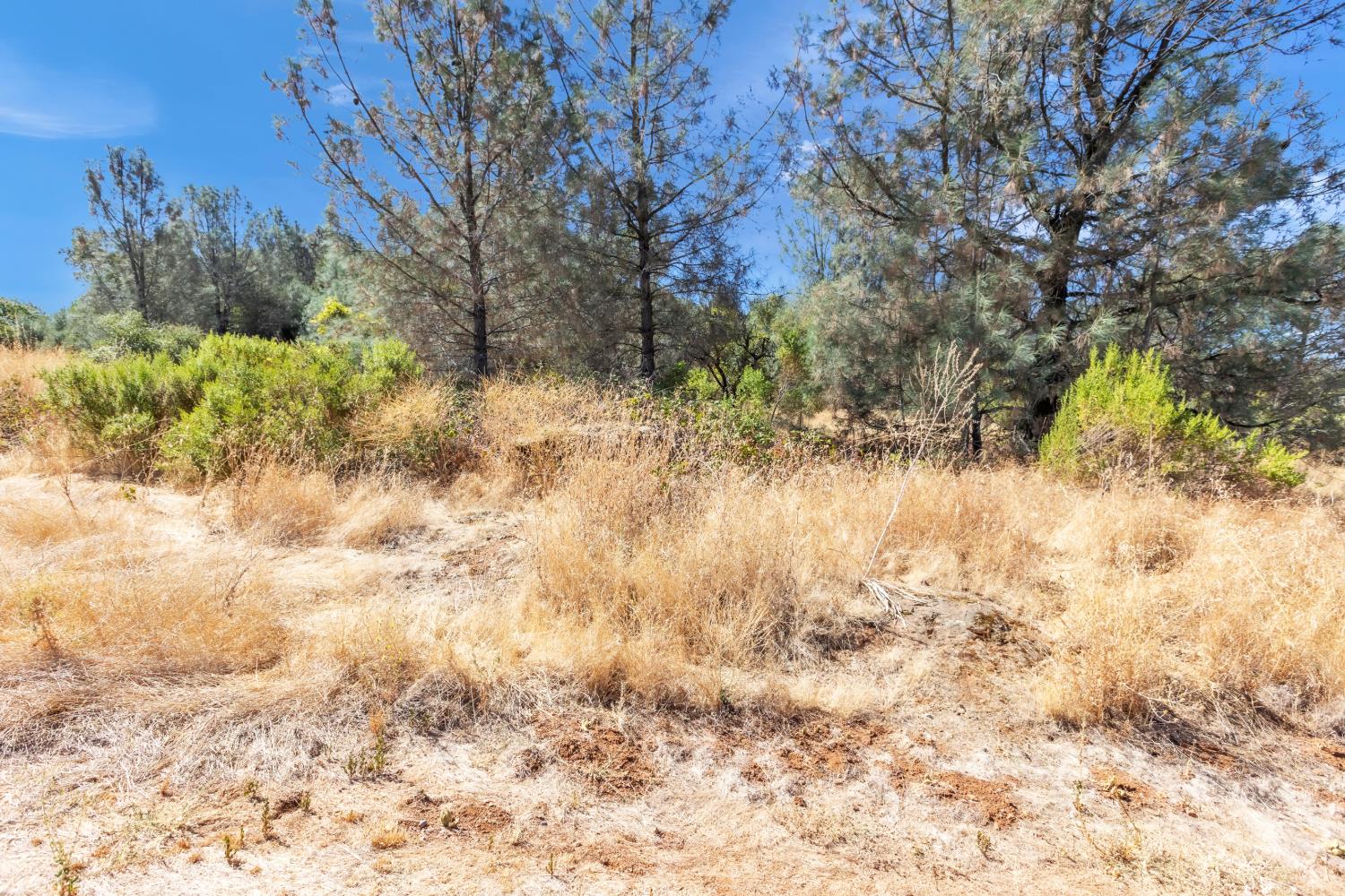 3050 Triple 7 Road Cool, CA 95614 - Photo 22 of 23 Gallery Image 22