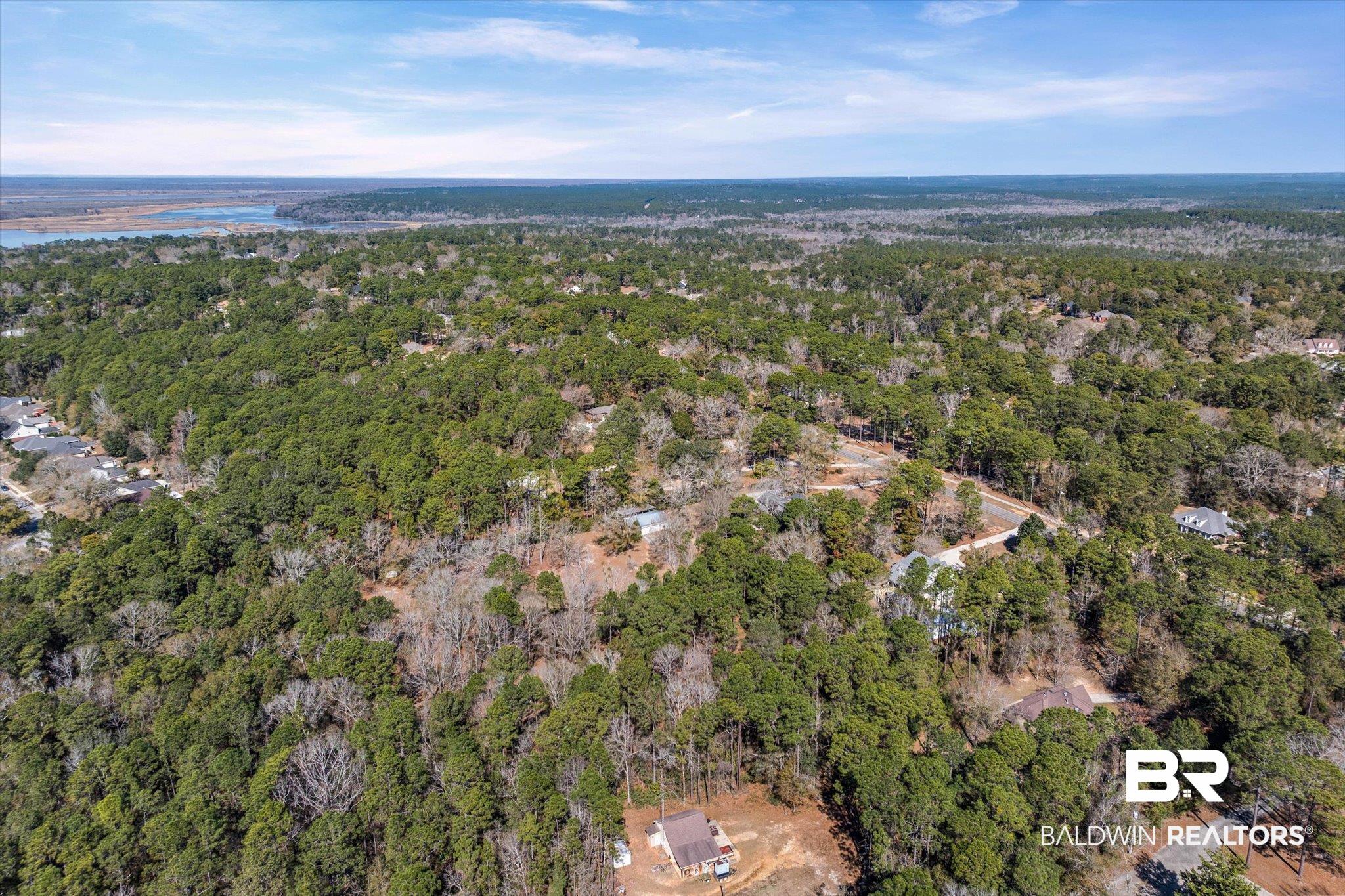 31369 Blakeley Way Daphne, AL 36527 - Photo 30 of 38 Aerial view of property's location with a forest and a nearby body of water