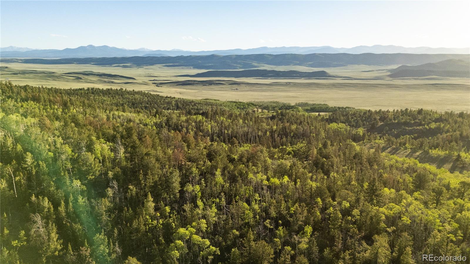 1280 Antler Ridge Road Como, CO 80432 - Photo 25 of 50