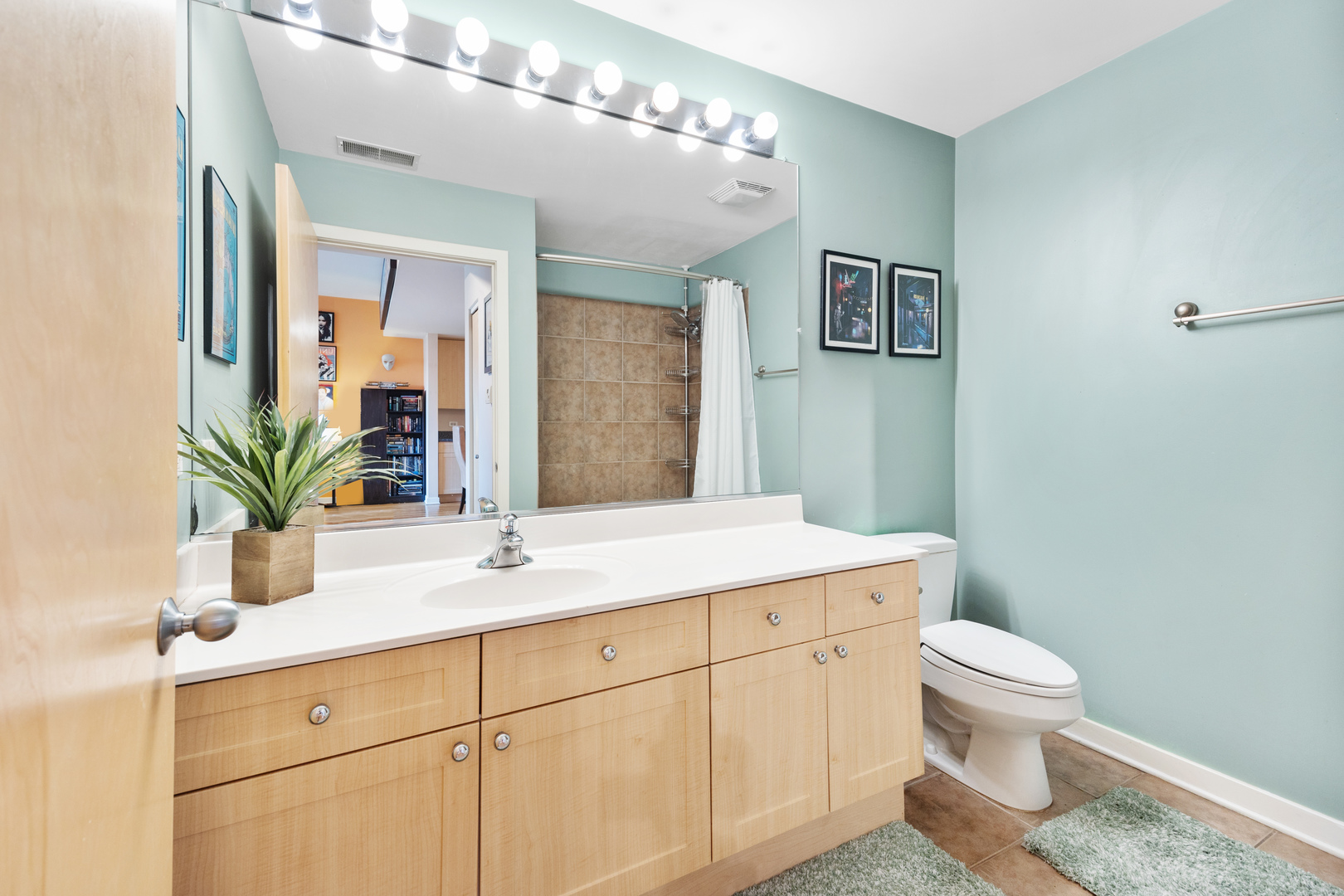 1910 South State Street, Unit 305 Chicago, IL 60616 - Photo 13 of 17 a bathroom with a sink a toilet and mirror