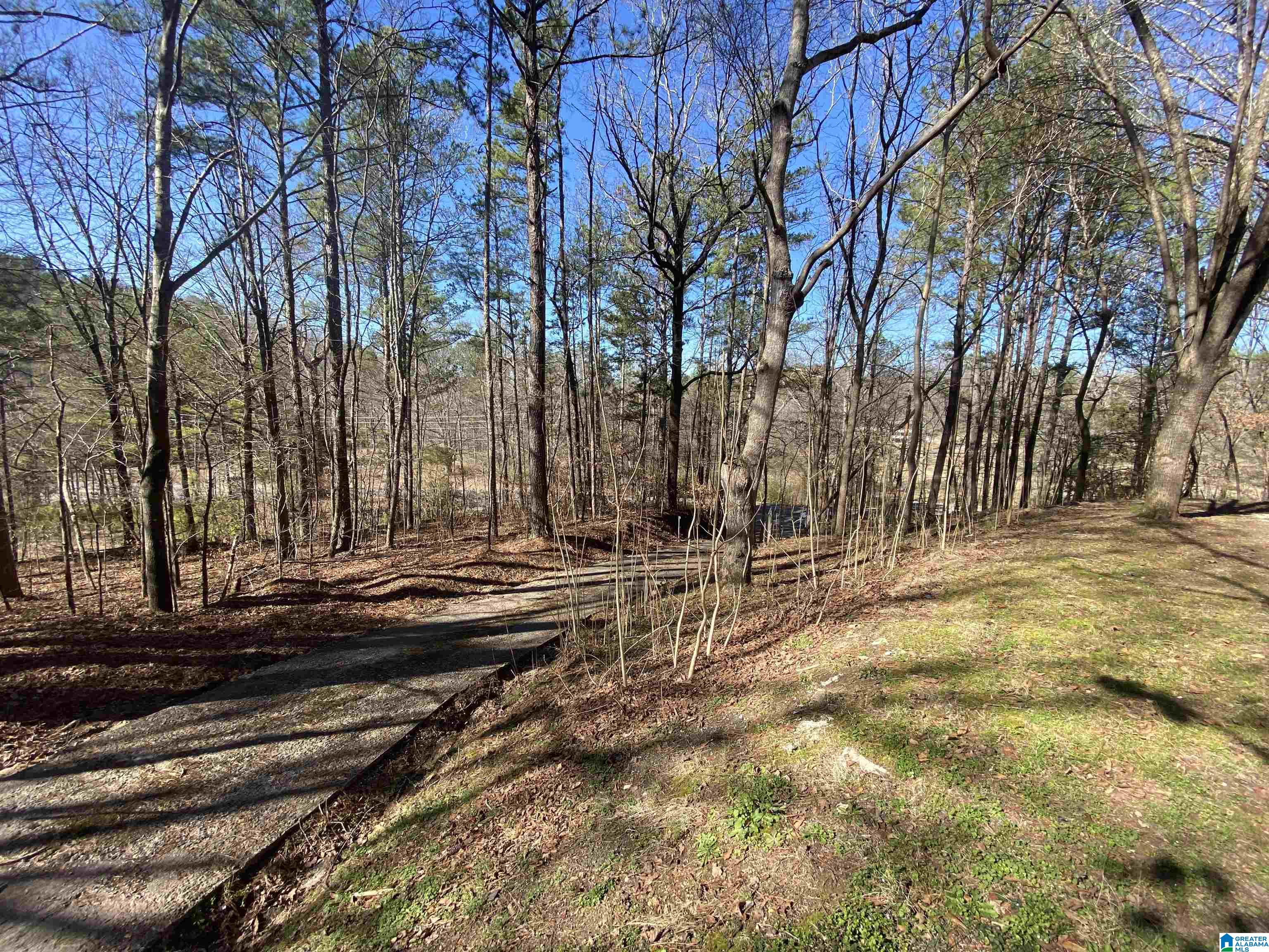 524 Highway 204 Ohatchee, AL 36271 - Photo 36 of 42