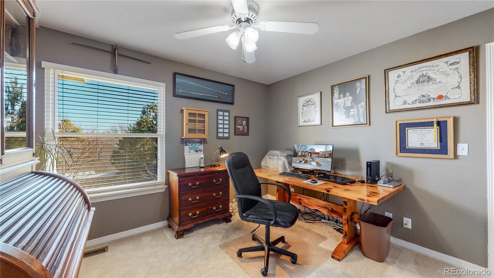 9738 Sylvestor Road Highlands Ranch, CO 80129 - Photo 17 of 40 Gallery Image 17