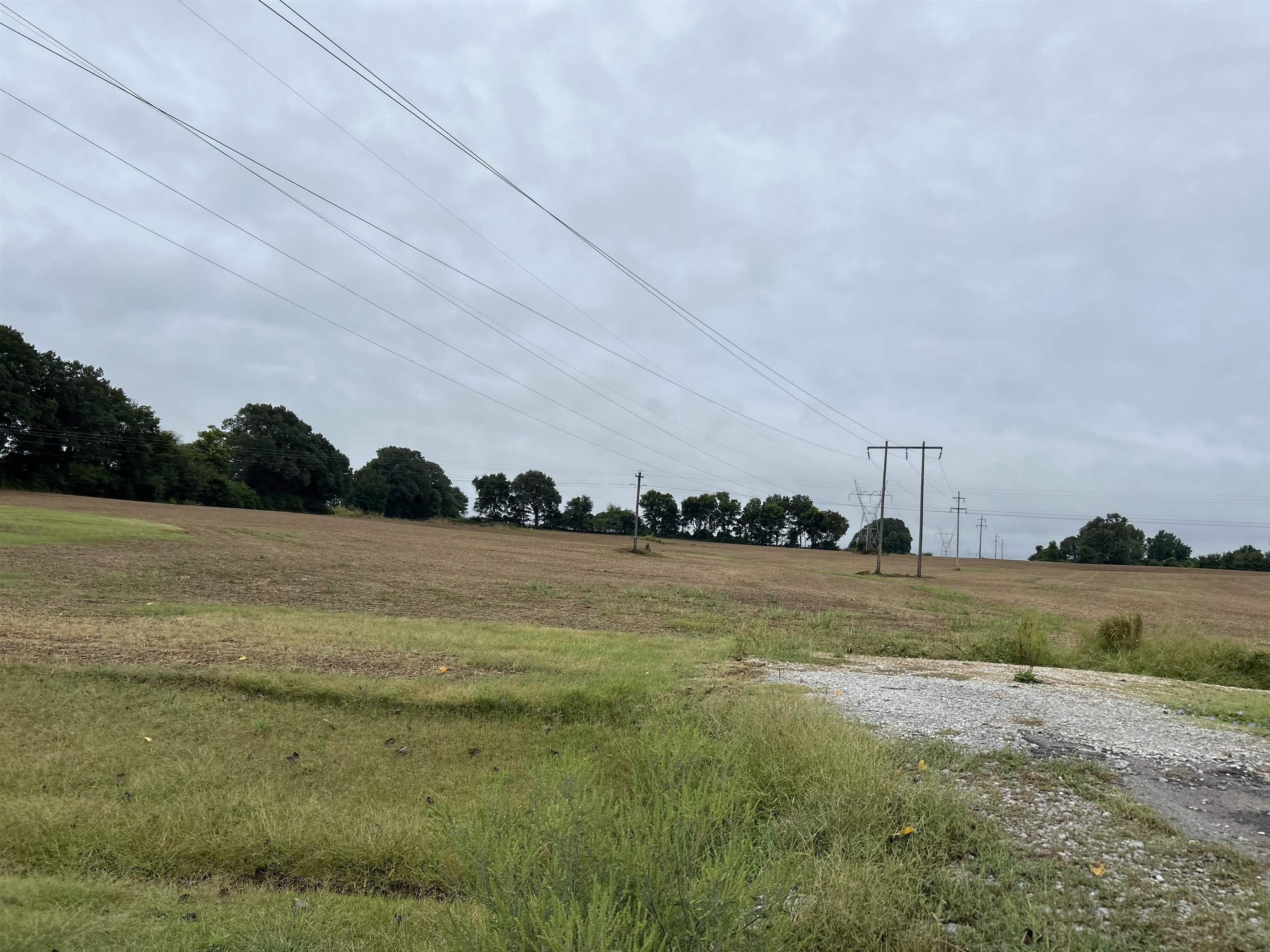 0 Oil Mill Road Covington, TN 38019 - Photo 2 of 3 a view of an ocean and beach