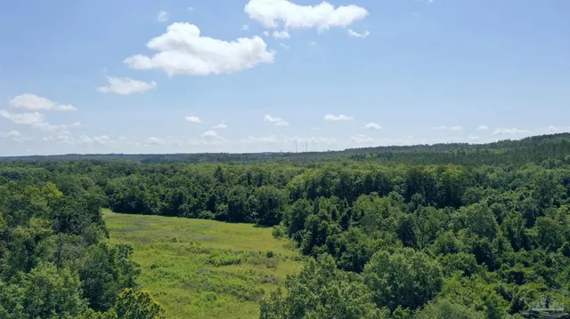 a view of a lake with houses in the background