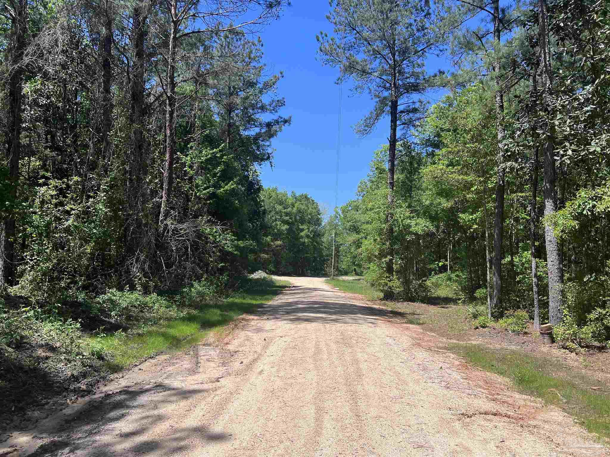 2610 Highway 4 Jay, FL 32565 - Photo 14 of 72