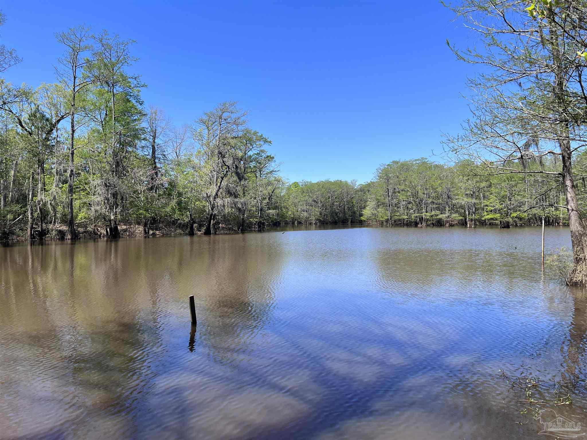 2610 Highway 4 Jay, FL 32565 - Photo 16 of 72