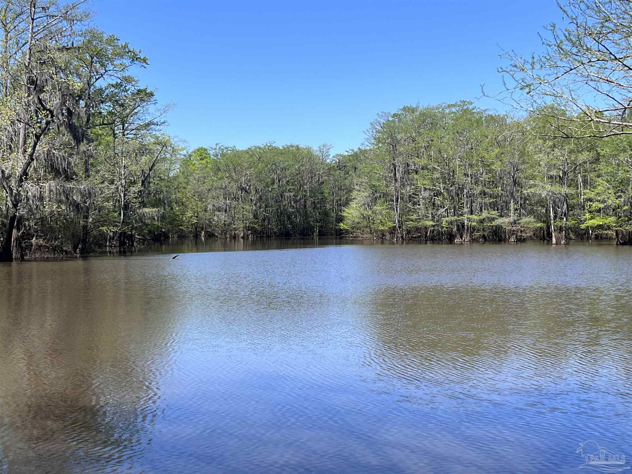 2610 Highway 4 Jay, FL 32565 - Photo 17 of 72