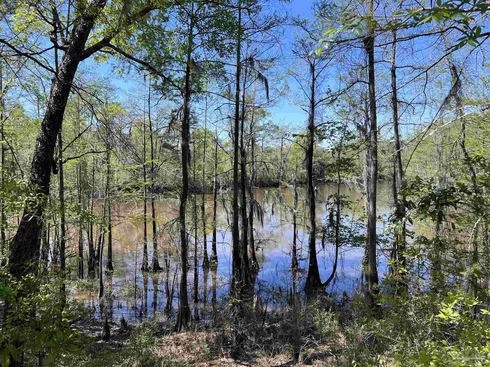 2610 Highway 4 Jay, FL 32565 - Photo 18 of 72