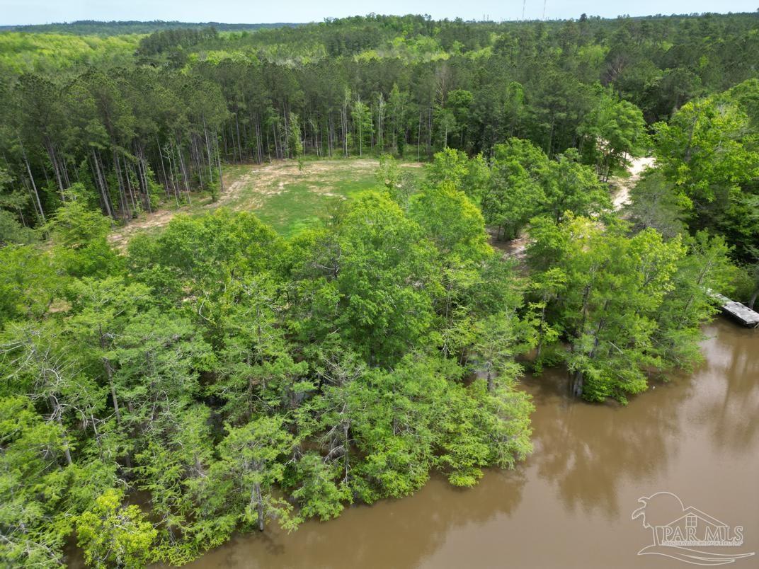 2610 Highway 4 Jay, FL 32565 - Photo 19 of 72