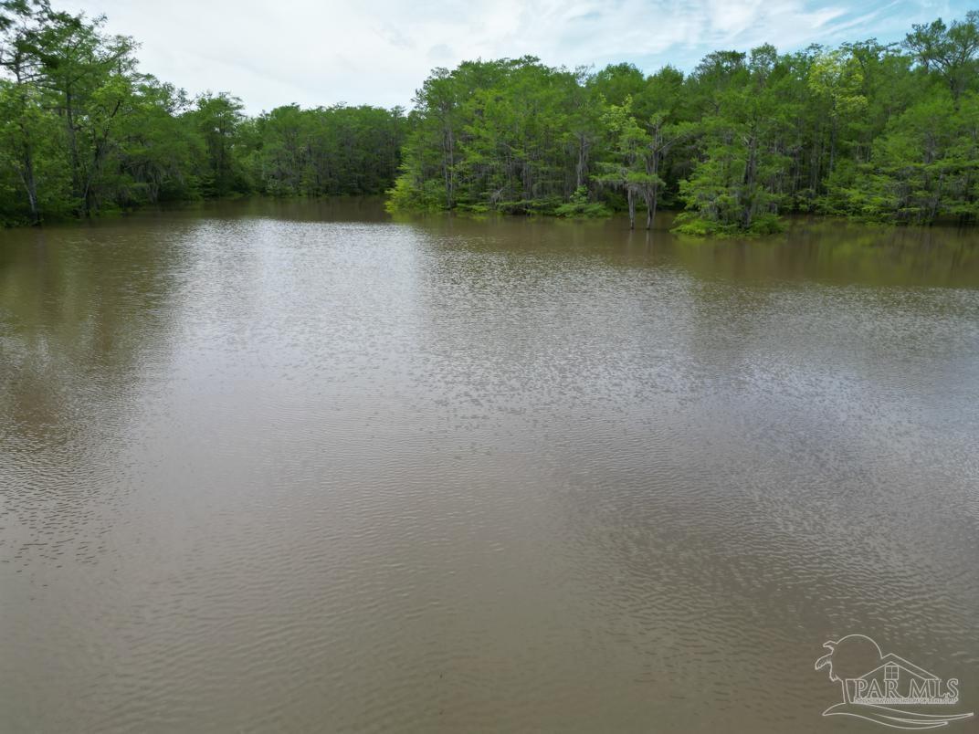2610 Highway 4 Jay, FL 32565 - Photo 23 of 72