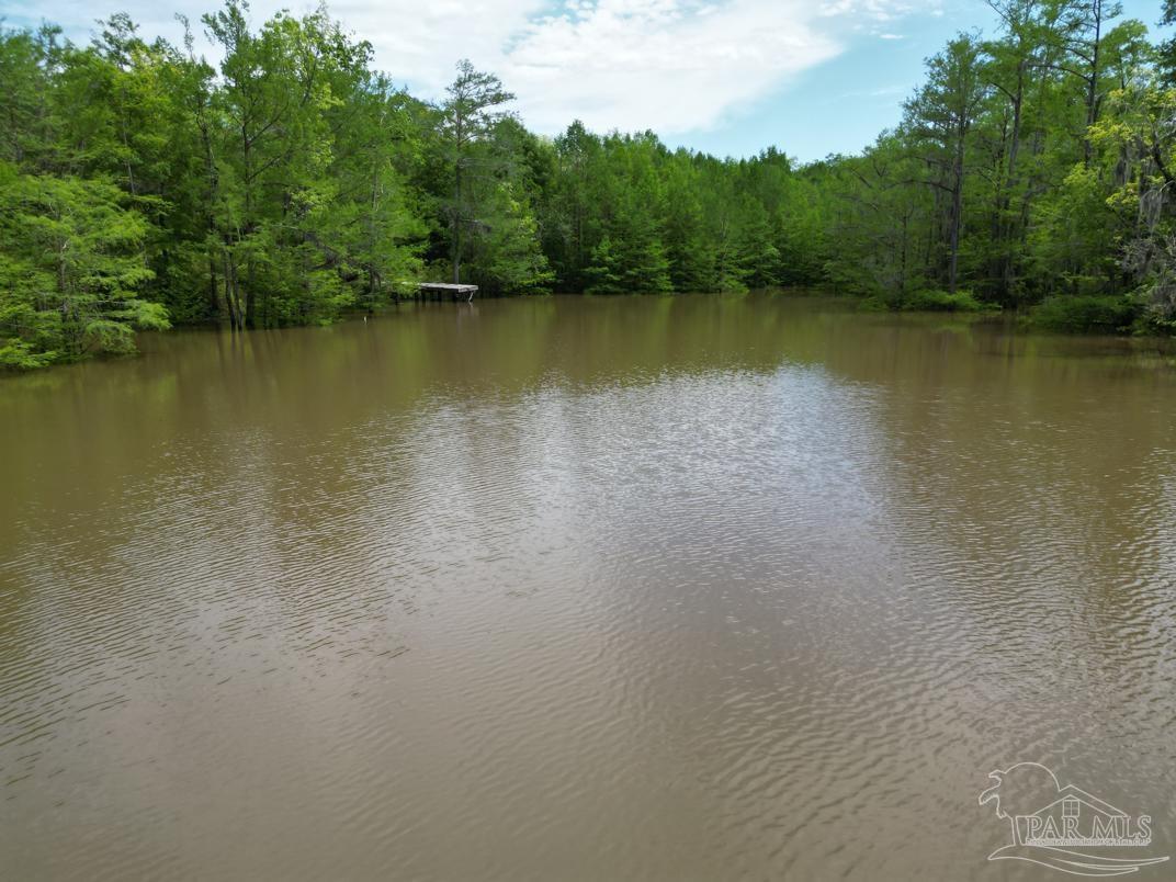 2610 Highway 4 Jay, FL 32565 - Photo 24 of 72