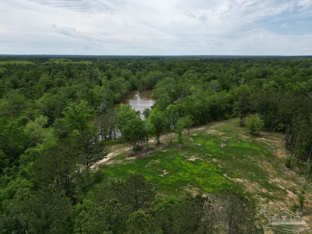 2610 Highway 4 Jay, FL 32565 - Photo 26 of 72