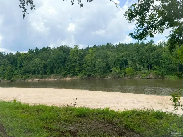 a view of a lake in middle of forest