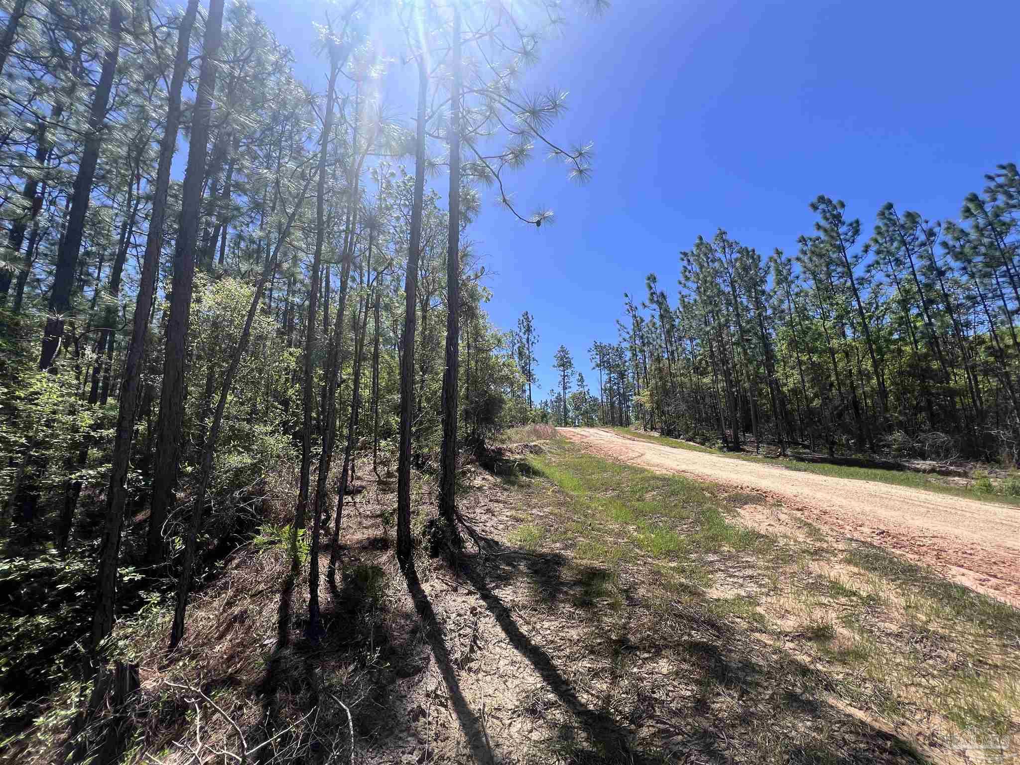 2610 Highway 4 Jay, FL 32565 - Photo 37 of 72