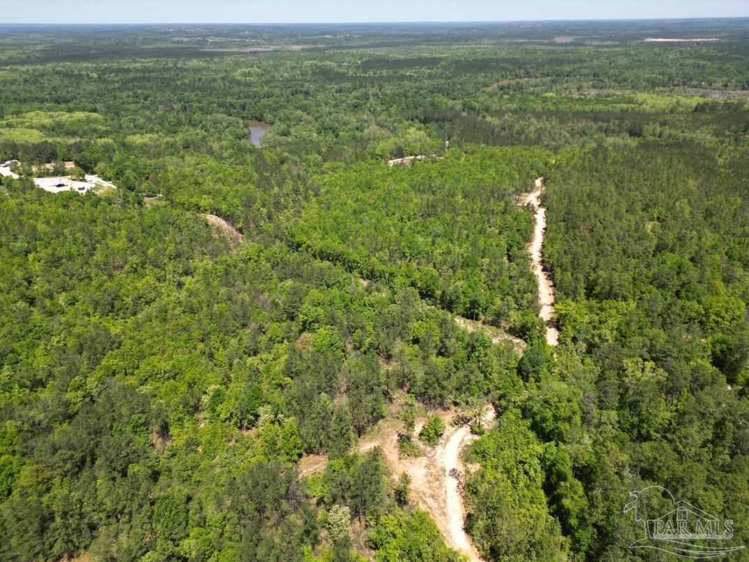 2610 Highway 4 Jay, FL 32565 - Photo 38 of 72