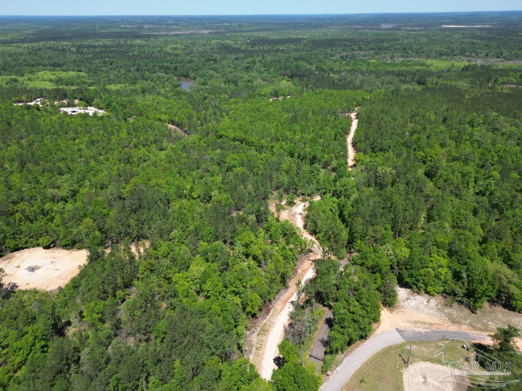2610 Highway 4 Jay, FL 32565 - Photo 40 of 72