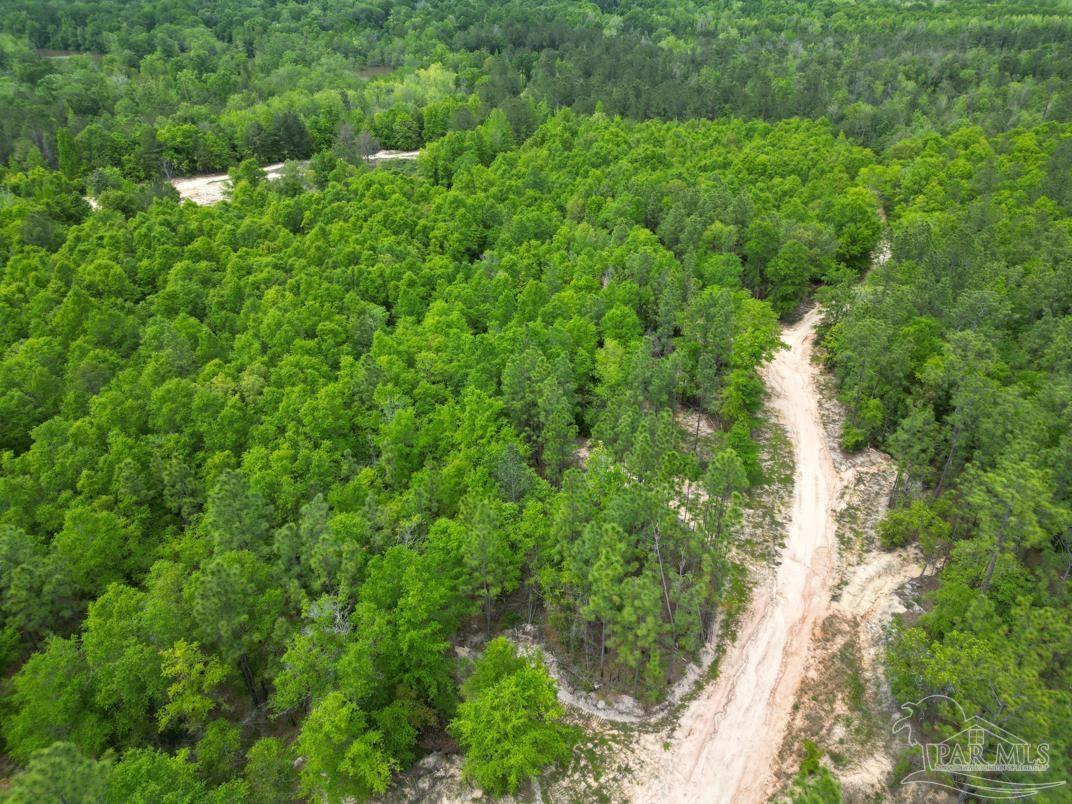 2610 Highway 4 Jay, FL 32565 - Photo 41 of 72