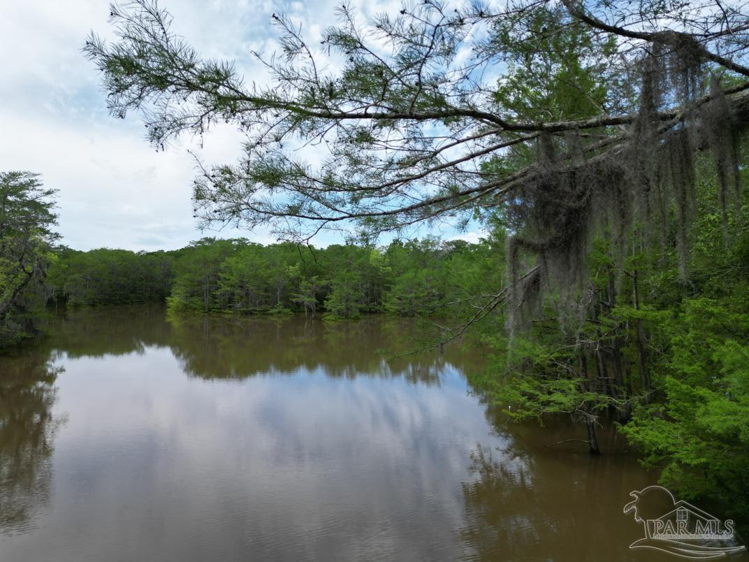 2610 Highway 4 Jay, FL 32565 - Photo 42 of 72