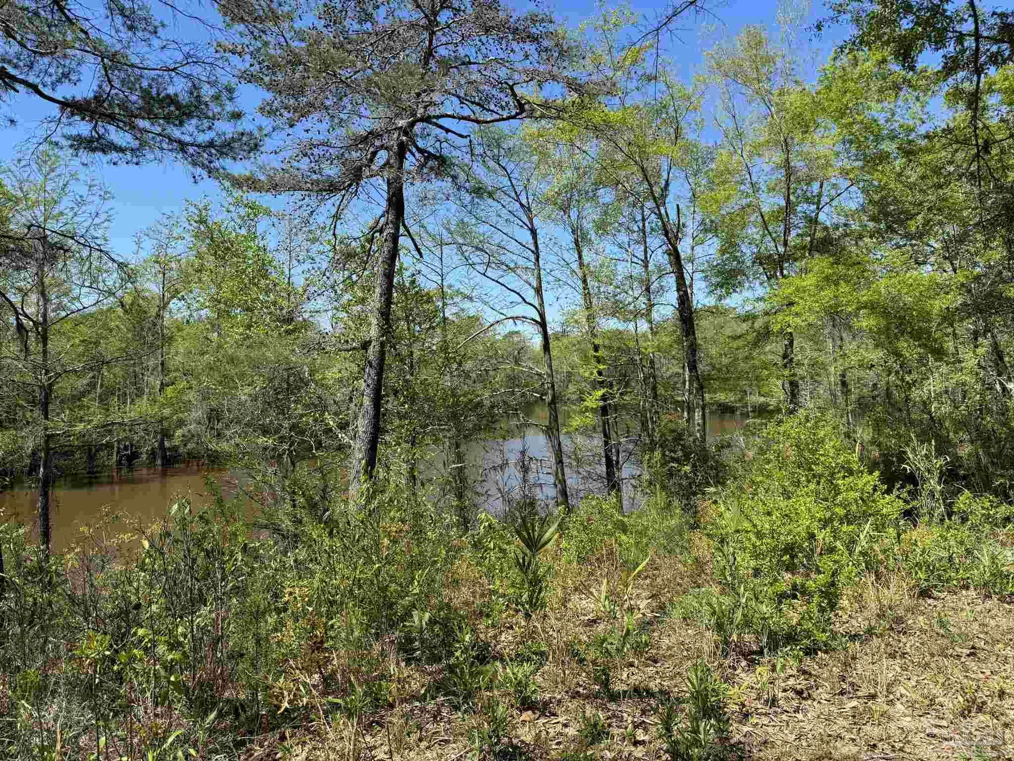2610 Highway 4 Jay, FL 32565 - Photo 44 of 72