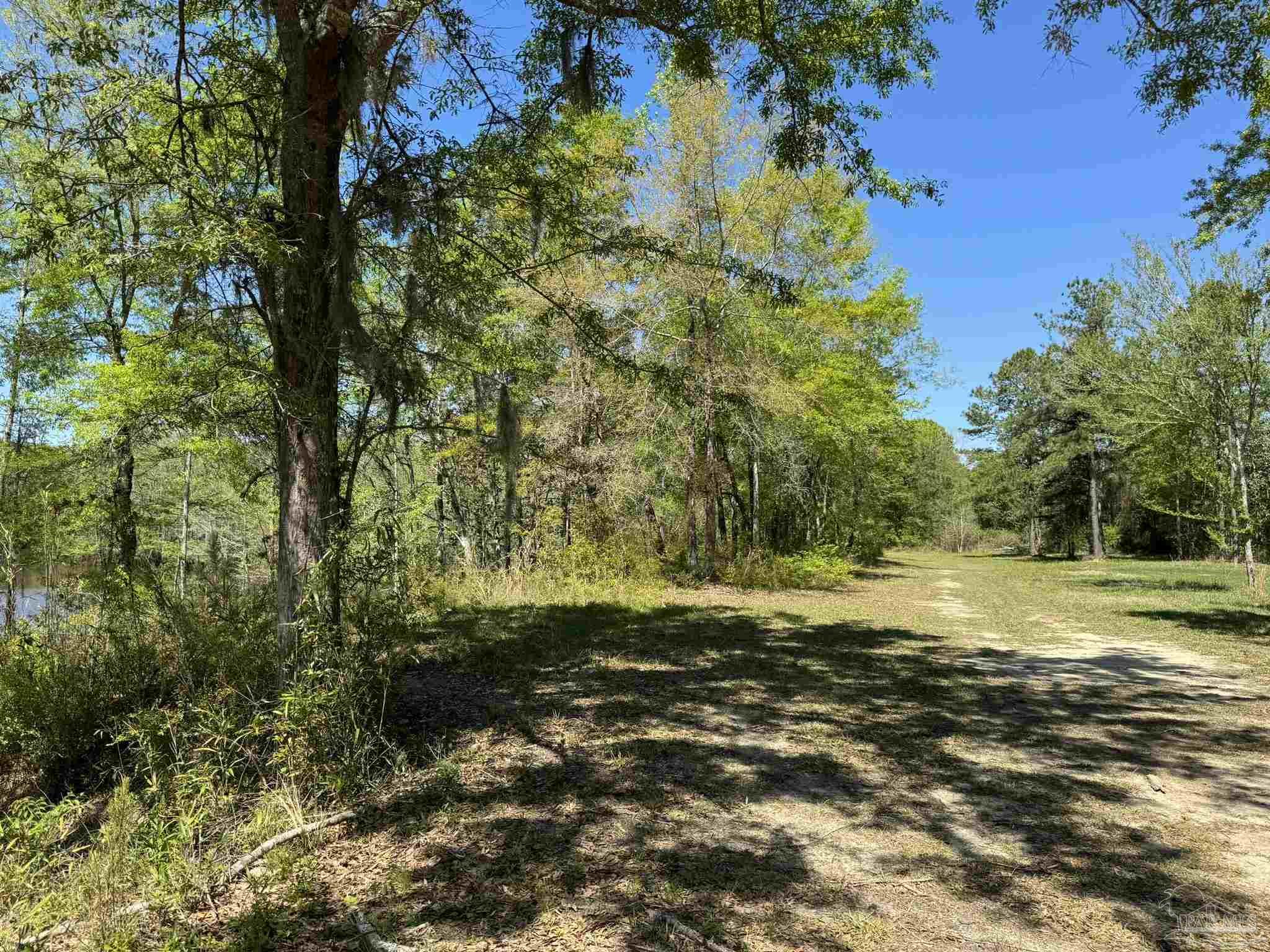 2610 Highway 4 Jay, FL 32565 - Photo 47 of 72