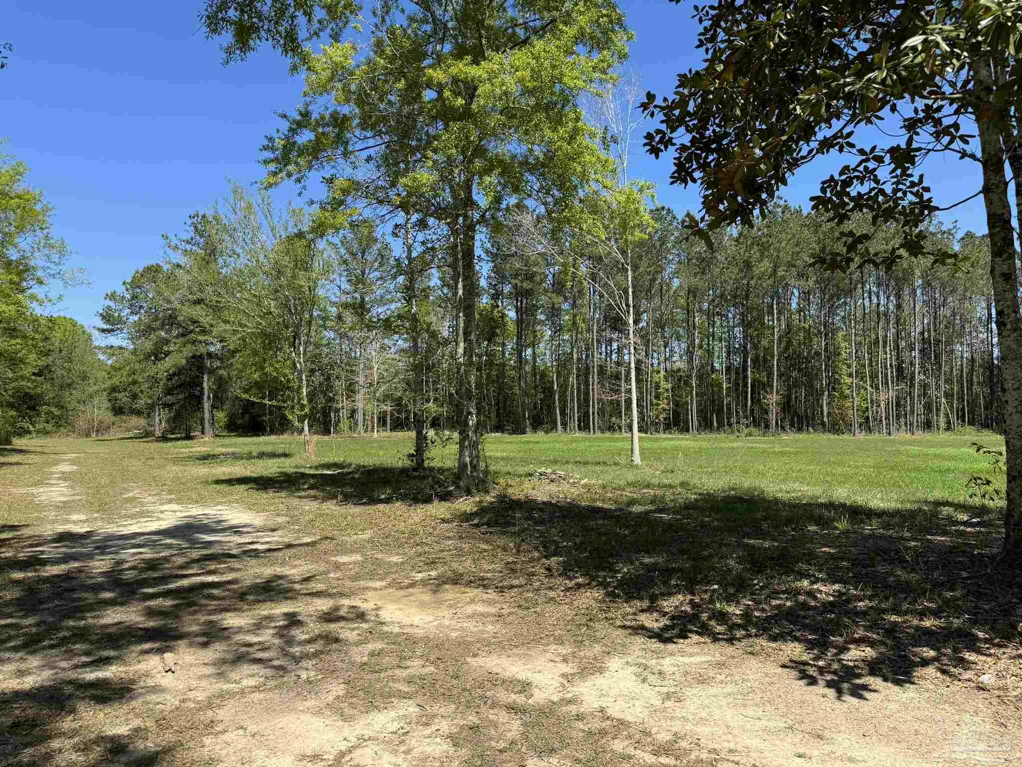 2610 Highway 4 Jay, FL 32565 - Photo 48 of 72