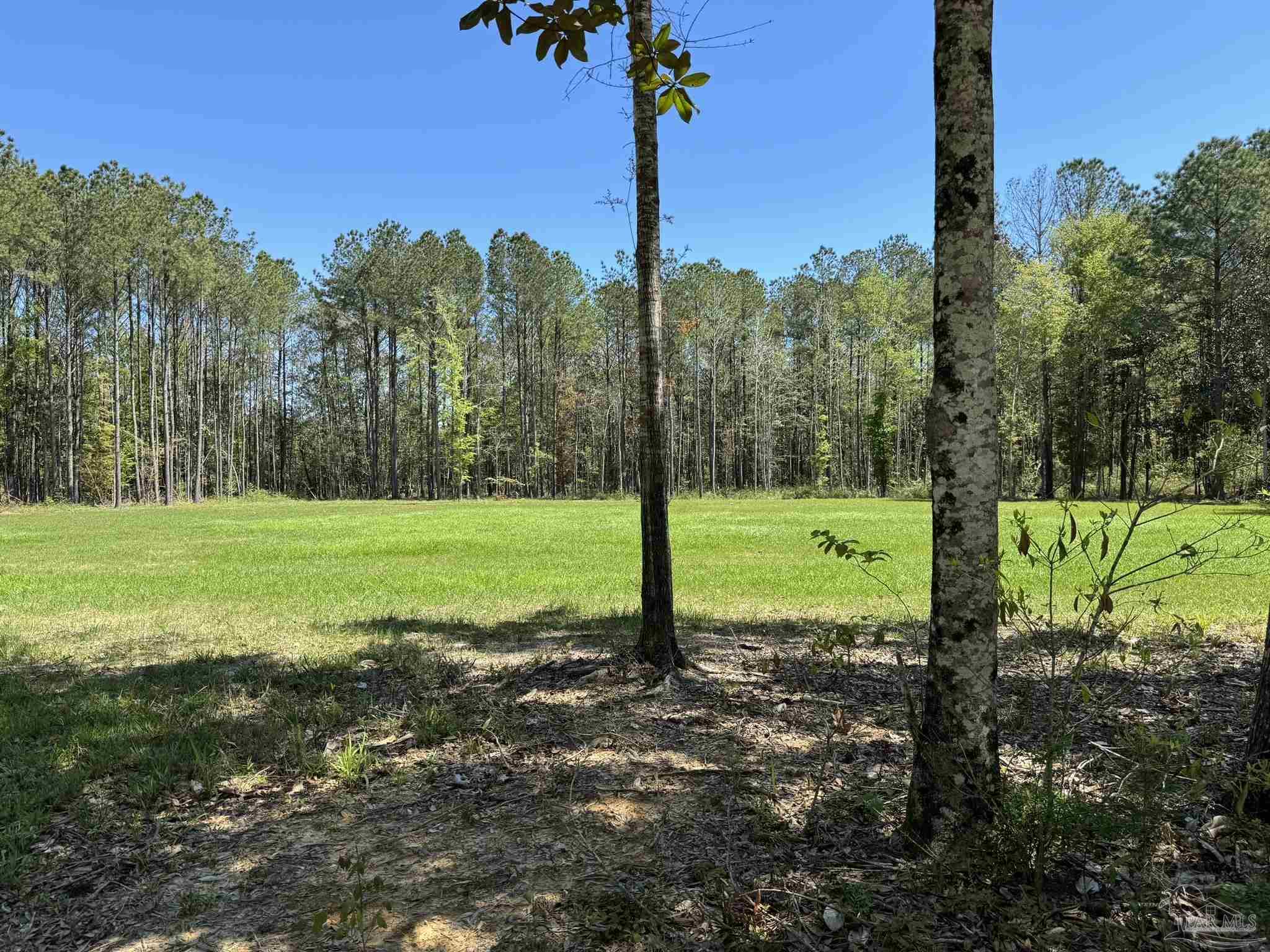 2610 Highway 4 Jay, FL 32565 - Photo 49 of 72