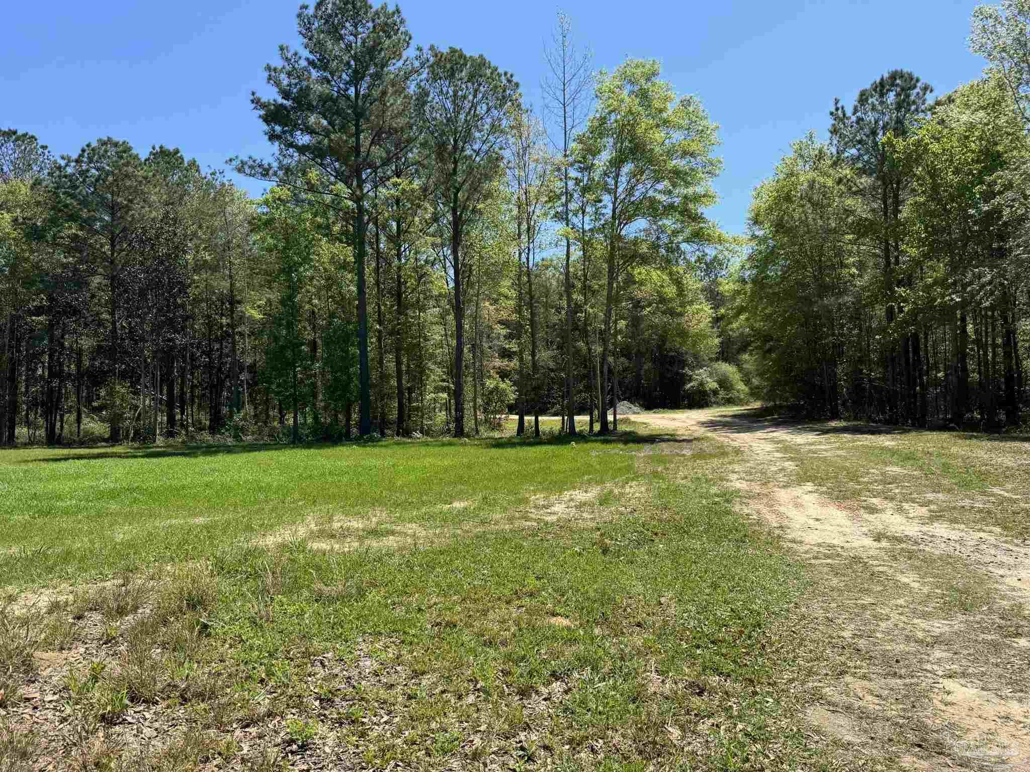 2610 Highway 4 Jay, FL 32565 - Photo 50 of 72