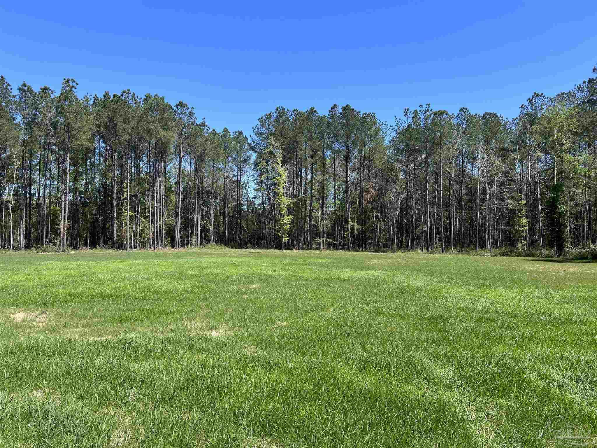 2610 Highway 4 Jay, FL 32565 - Photo 53 of 72
