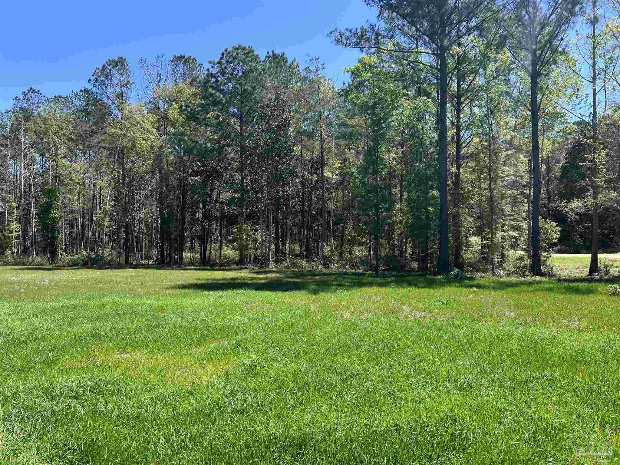 2610 Highway 4 Jay, FL 32565 - Photo 54 of 72