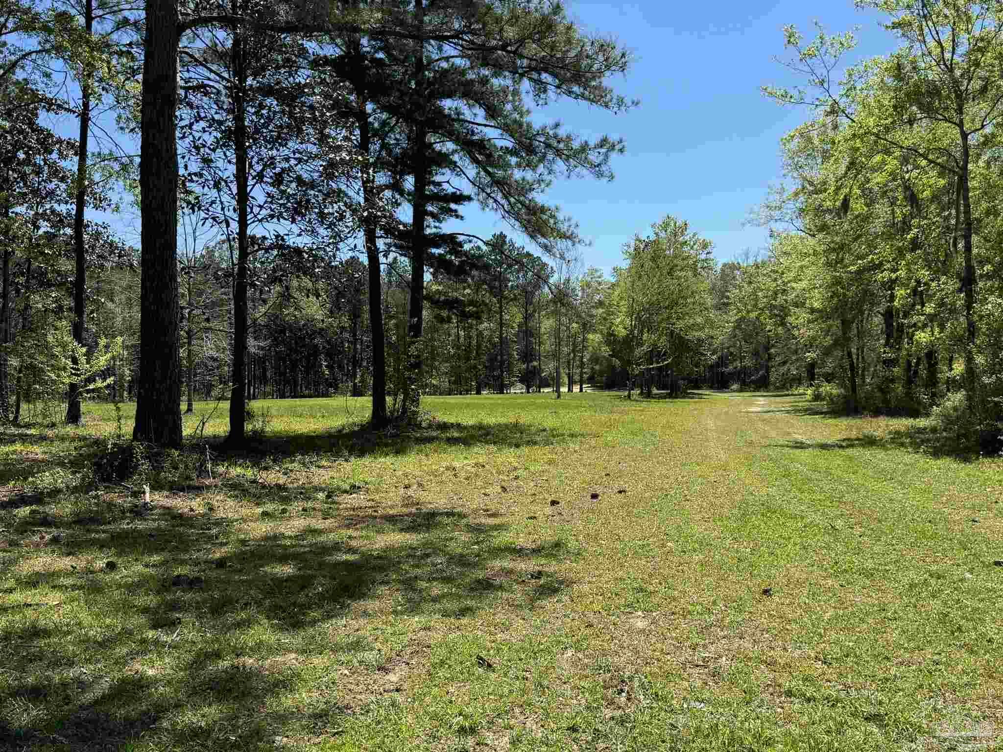 2610 Highway 4 Jay, FL 32565 - Photo 57 of 72