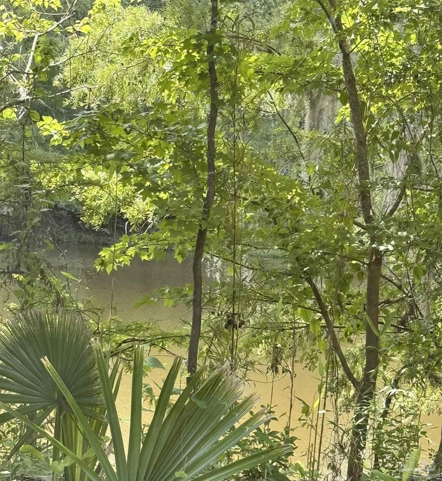 2610 Highway 4 Jay, FL 32565 - Photo 59 of 72