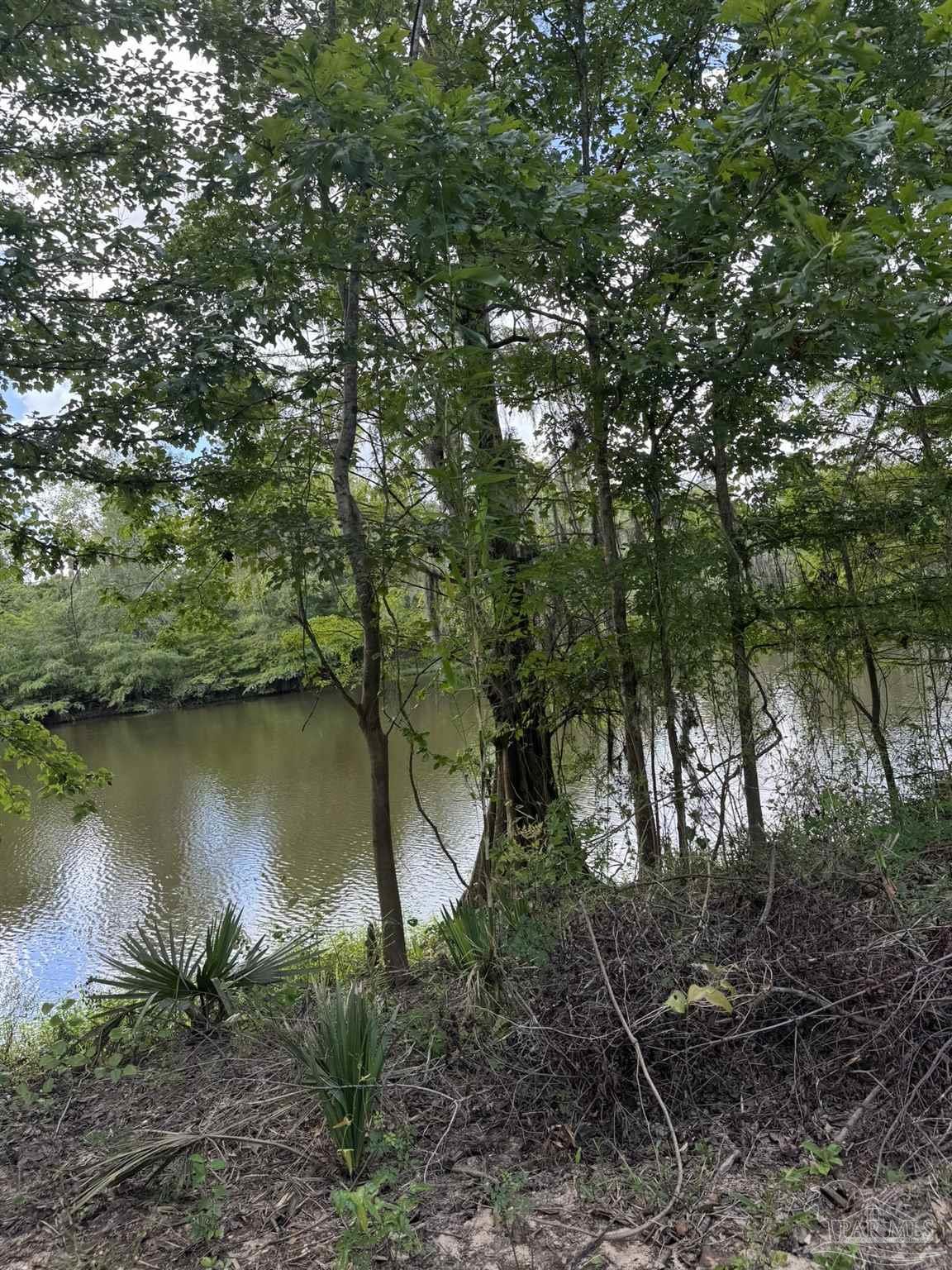 2610 Highway 4 Jay, FL 32565 - Photo 60 of 72