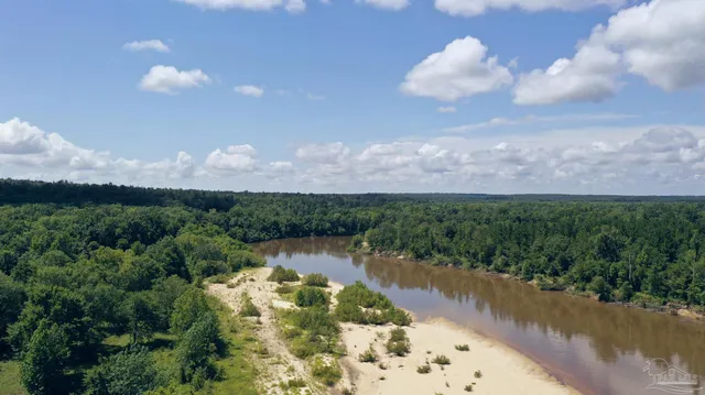 a view of a lake with a tree in the background