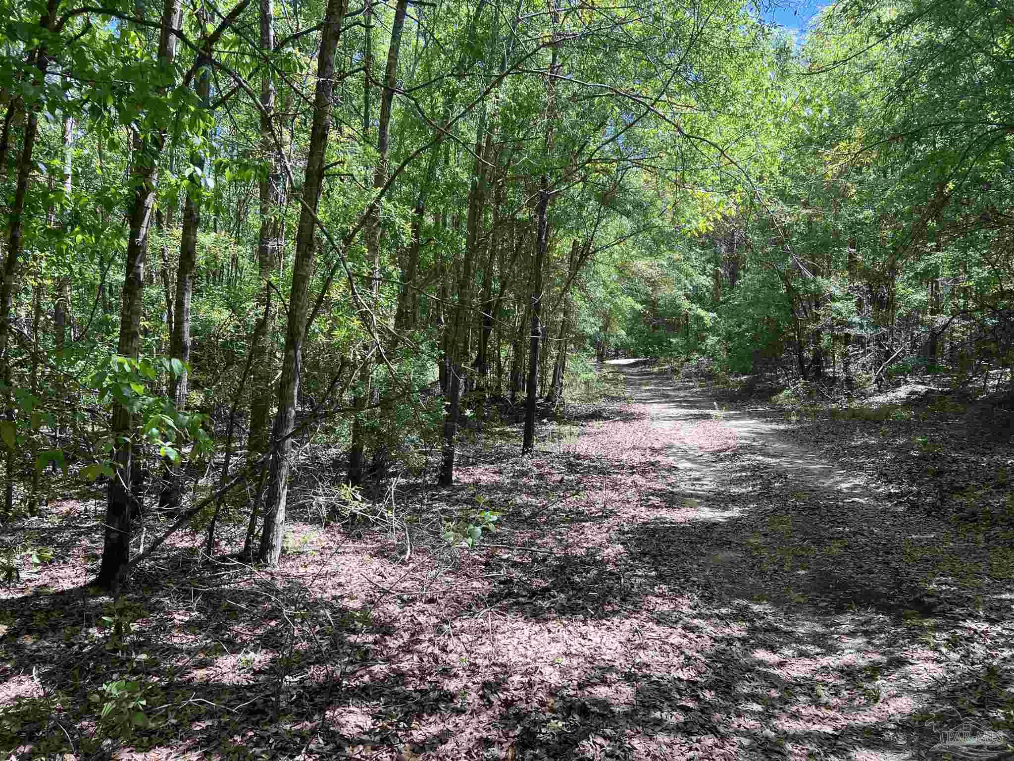 2610 Highway 4 Jay, FL 32565 - Photo 69 of 72