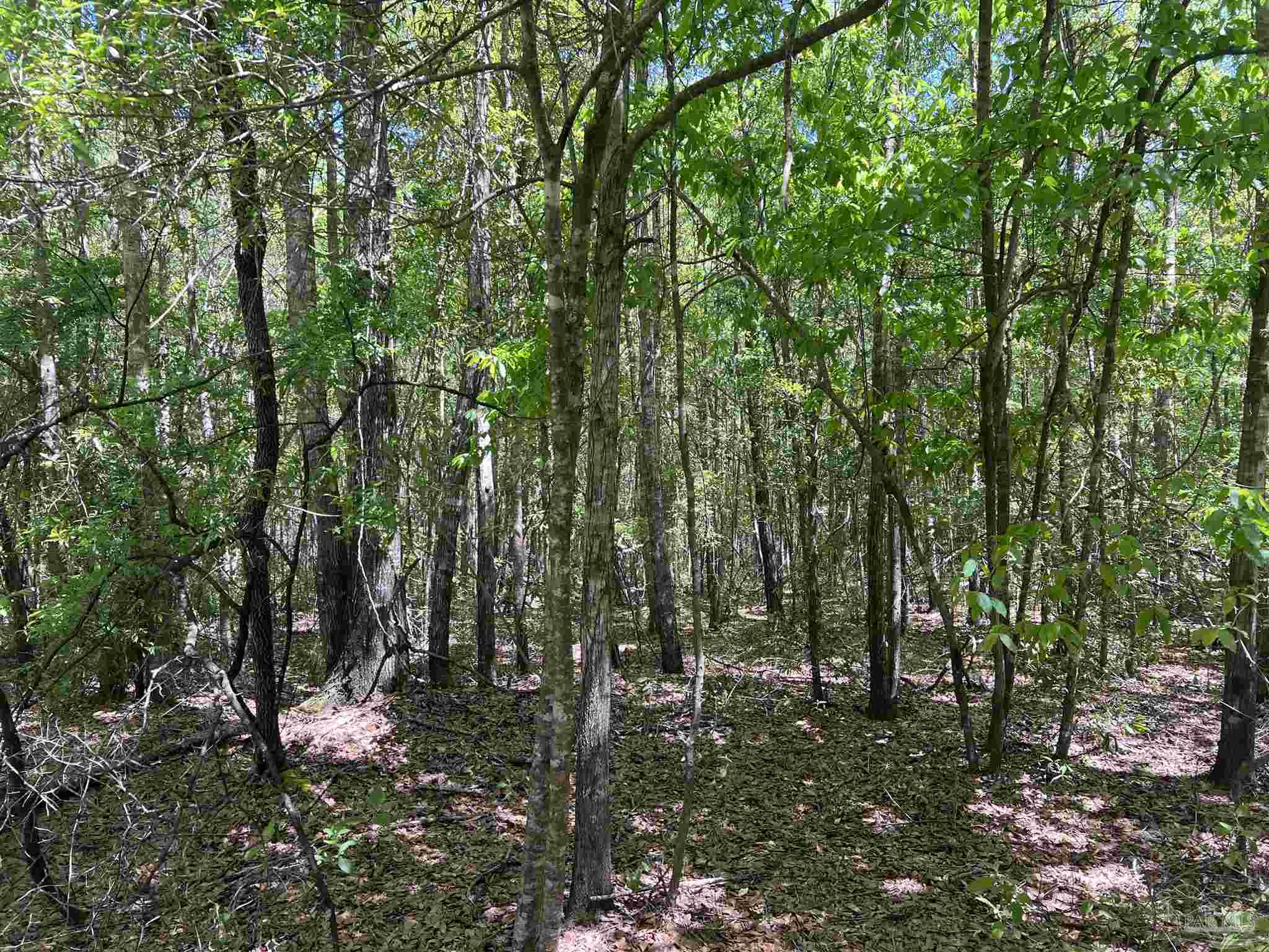 2610 Highway 4 Jay, FL 32565 - Photo 70 of 72